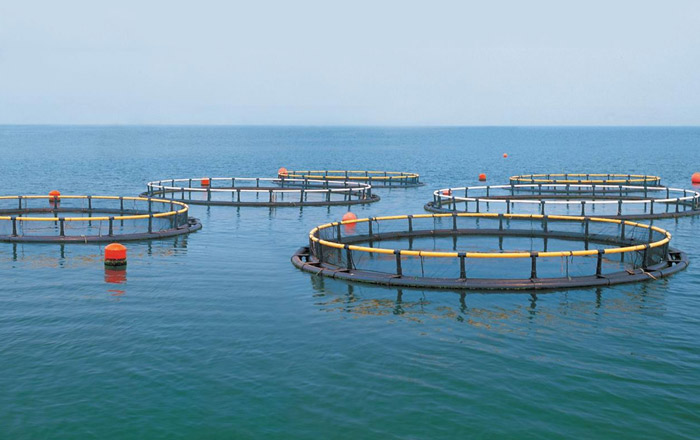 穩(wěn)定供應優(yōu)勢